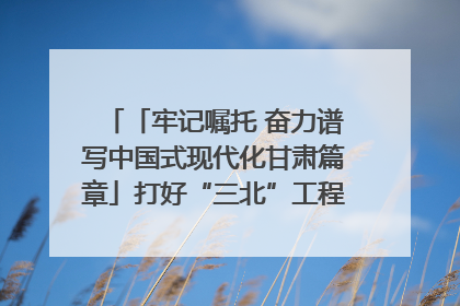 「牢记嘱托 奋力谱写中国式现代化甘肃篇章」打好“三北”工程攻坚战 筑牢国家西部生态安全屏障