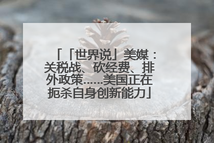 「世界说」美媒：关税战、砍经费、排外政策……美国正在扼杀自身创新能力