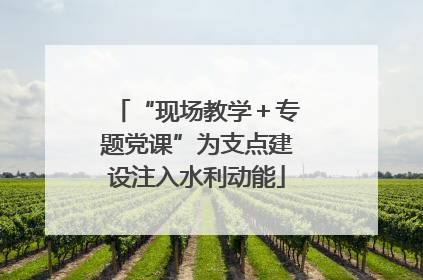 “现场教学＋专题党课”为支点建设注入水利动能
