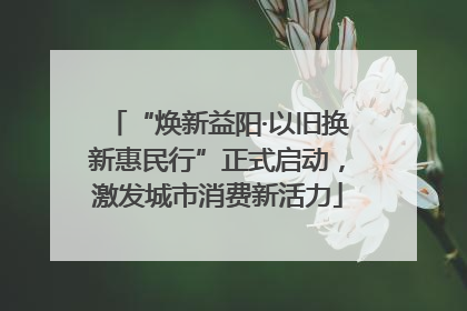 “焕新益阳·以旧换新惠民行”正式启动，激发城市消费新活力