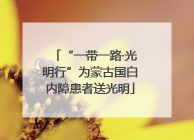 “一带一路·光明行”为蒙古国白内障患者送光明