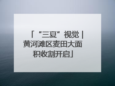 “三夏”视觉｜黄河滩区麦田大面积收割开启