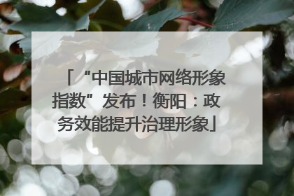 “中国城市网络形象指数”发布！衡阳：政务效能提升治理形象