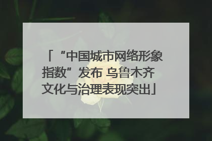 “中国城市网络形象指数”发布 乌鲁木齐文化与治理表现突出