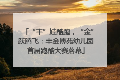 “丰”娃酷跑，“金”跃腾飞：丰金博苑幼儿园首届跑酷大赛落幕