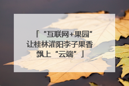 “互联网+果园”让桂林灌阳李子果香飘上“云端”
