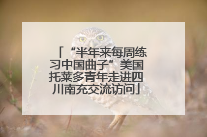 “半年来每周练习中国曲子”美国托莱多青年走进四川南充交流访问