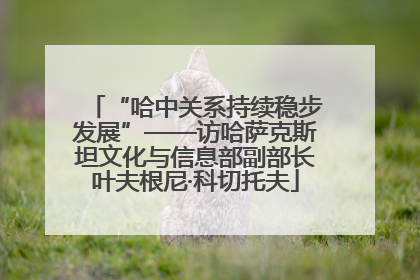 “哈中关系持续稳步发展”——访哈萨克斯坦文化与信息部副部长叶夫根尼·科切托夫