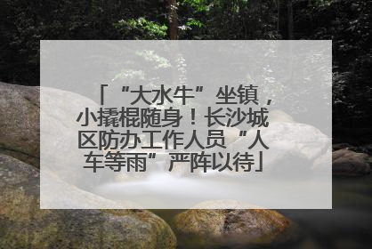 “大水牛”坐镇，小撬棍随身！长沙城区防办工作人员“人车等雨”严阵以待
