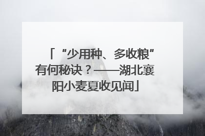 “少用种、多收粮”有何秘诀？——湖北襄阳小麦夏收见闻