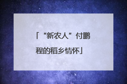 “新农人”付鹏程的稻乡情怀
