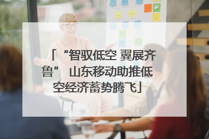 “智驭低空 翼展齐鲁” 山东移动助推低空经济蓄势腾飞