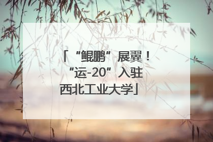 “鲲鹏”展翼！“运-20”入驻西北工业大学
