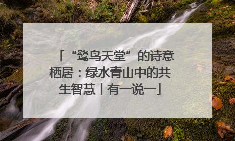 “鹭鸟天堂”的诗意栖居：绿水青山中的共生智慧丨有一说一