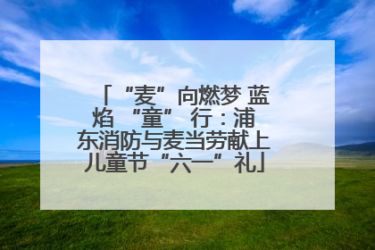 “麦”向燃梦 蓝焰 “童” 行：浦东消防与麦当劳献上儿童节“六一”礼