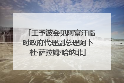 王予波会见阿富汗临时政府代理副总理阿卜杜·萨拉姆·哈纳菲
