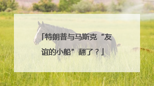 特朗普与马斯克“友谊的小船”翻了？