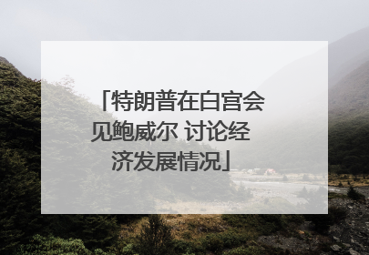 特朗普在白宫会见鲍威尔 讨论经济发展情况