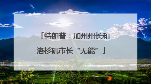 特朗普：加州州长和洛杉矶市长“无能”
