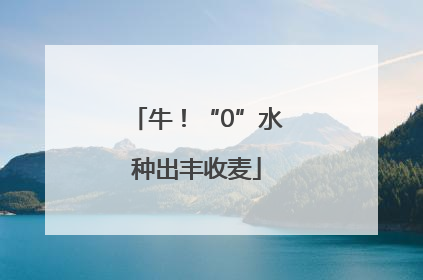 牛！“0”水种出丰收麦