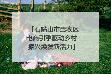 石嘴山市惠农区电商引擎驱动乡村振兴焕发新活力