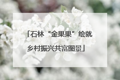 石林“金果果”绘就乡村振兴共富图景