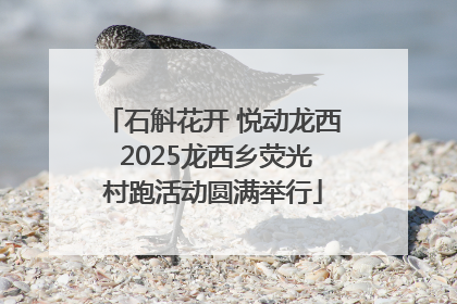 石斛花开 悦动龙西 2025龙西乡荧光村跑活动圆满举行