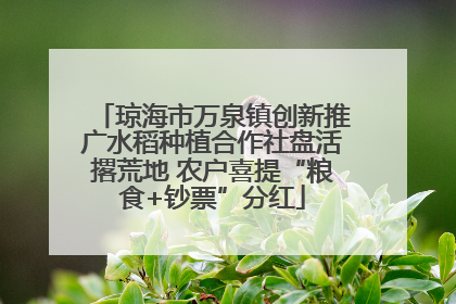 琼海市万泉镇创新推广水稻种植合作社盘活撂荒地 农户喜提“粮食+钞票”分红