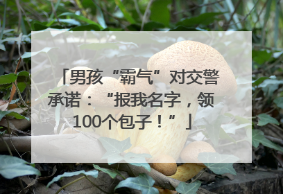 男孩“霸气”对交警承诺：“报我名字，领100个包子！”