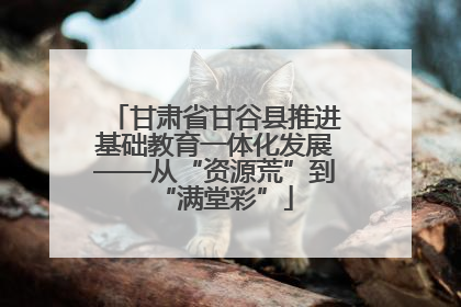 甘肃省甘谷县推进基础教育一体化发展——从“资源荒”到“满堂彩”