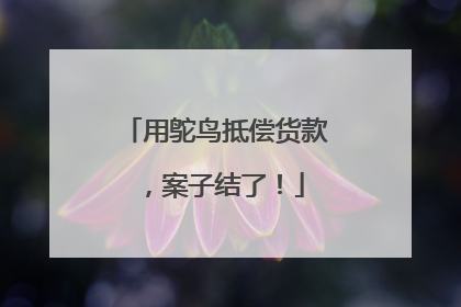 用鸵鸟抵偿货款，案子结了！