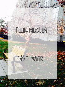 田间地头的“芯”动能