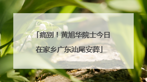 痛别！黄旭华院士今日在家乡广东汕尾安葬