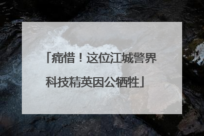 痛惜！这位江城警界科技精英因公牺牲