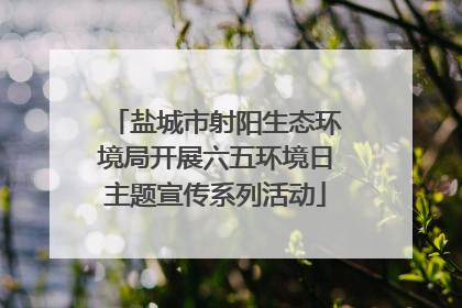 盐城市射阳生态环境局开展六五环境日主题宣传系列活动