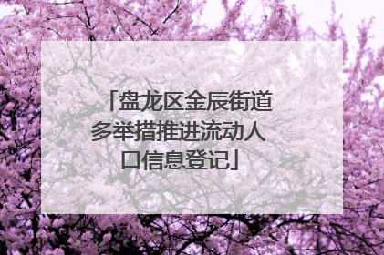 盘龙区金辰街道多举措推进流动人口信息登记