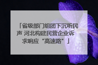 省级部门组团下沉听民声 河北构建民营企业诉求响应“高速路”