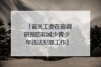 省关工委在宿调研预防和减少青少年违法犯罪工作