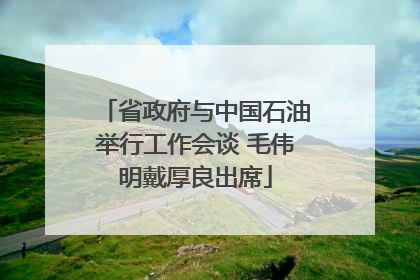 省政府与中国石油举行工作会谈 毛伟明戴厚良出席