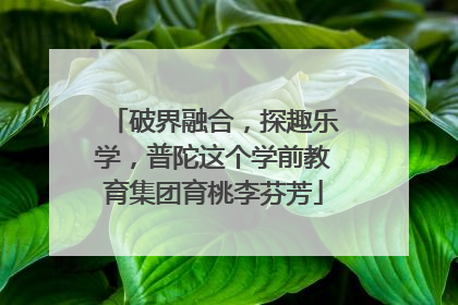 破界融合，探趣乐学，普陀这个学前教育集团育桃李芬芳