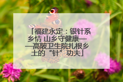 福建永定：银针系乡情 山乡守健康——高陂卫生院扎根乡土的“针”功夫