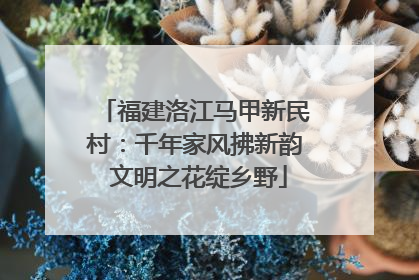 福建洛江马甲新民村：千年家风拂新韵 文明之花绽乡野