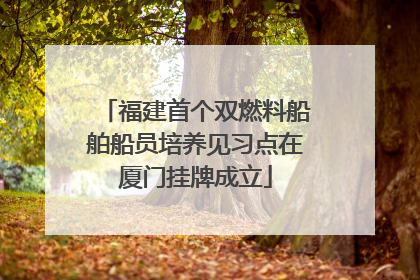 福建首个双燃料船舶船员培养见习点在厦门挂牌成立