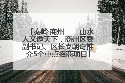 秦岭·商州——山水人文邀天下，商州区委副书记、区长支朝奇推介5个重点招商项目
