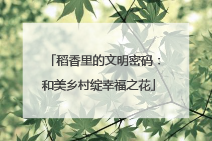 稻香里的文明密码：和美乡村绽幸福之花