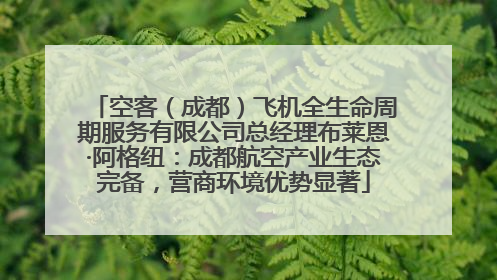 空客（成都）飞机全生命周期服务有限公司总经理布莱恩·阿格纽：成都航空产业生态完备，营商环境优势显著