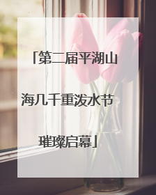 第二届平湖山海几千重泼水节璀璨启幕