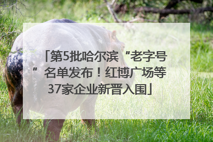 第5批哈尔滨“老字号”名单发布！红博广场等37家企业新晋入围