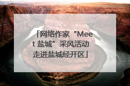 网络作家“Meet 盐城”采风活动走进盐城经开区