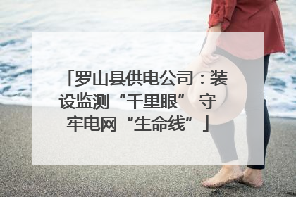 罗山县供电公司：装设监测“千里眼” 守牢电网“生命线”